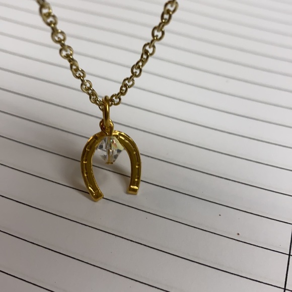 Horseshoe Necklace - Picture 4 of 5
